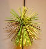 Beaver Whiskers Archery String Silencers Spring Camo