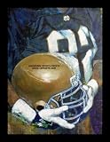 Univ of Notre Dame Helmet Series - Wall Framed Canvas Art Print - Notre Dame Fighting Irish