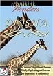 Nature Wonders  ETOSHA Namibia