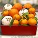 Citrus Duet Fruit Gift Box