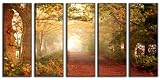 Forest Nature Photo HUGE Canvas Painting Print READY TO HANG!! 60 x 32