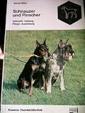 Schnauzer und Pinscher - Aufzucht, Haltung, Pflege, Ausbildung [Taschenbuch].