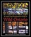 Books : An Artist's and Photographer's Guide to Wild Ontario