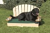 Pet Supplies : Bliss Hammocks Dogirandack Bed- Small