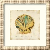 Gilded Ocean Scallop Animals Framed Art Poster Print, 20x20