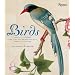 Birds: Mini Edition: The Art of Ornithology