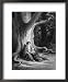 Drawing by Dore of the Characters Merlin and Vivien from the Works of Lord Tennyson People Framed Art Poster Print, 18x22