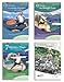 Lee Holden QiGong DVD 4-Pack 3
