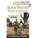 The Black History of the White House (City Lights Open Media)