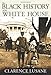 The Black History of the White House (City Lights Open Media)