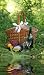 Basket for Picnic with Champagne, Fruits and Reflection of It - 24H x 14W - Peel and Stick Wall Decal by Wallmonkeys