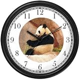 Photo Giant Panda or Panda Bear Animal Wall Clock by WatchBuddy Timepieces (Hunter Green Frame)