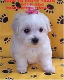Potty Train Your Dog More Effectively!