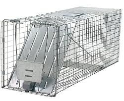 Havahart 1079 Live Animal Professional-Style One-Door Raccoon, Groundhog, Opossum, and Stray Cat Cage Trap