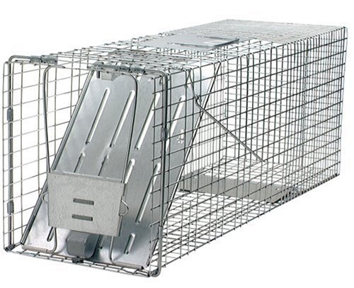 Havahart 1079 Professional Style One Door Cage Trap for Raccoons 32 x 10 x 12