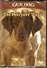 GUN DOG DVD The Brittany Today