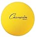 Champion Sports Uncoated Regular Density Foam Ball (6-Inch)