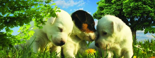 3-D Motion Puppies Hugging Bookmark with 6" Ruler