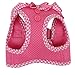 Puppia Vivien Vest Dog Harness Step-in All Season Mesh Cute No Pull No Choke Walking Training for Small Dog, Pink, Large