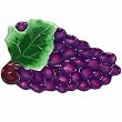 Boston Warehouse Napa Grapes Spoonrest