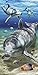 Bahia Collection by Dohler Brightness Dolphins Velour Brazilian Beach Towel 30x60 Inches