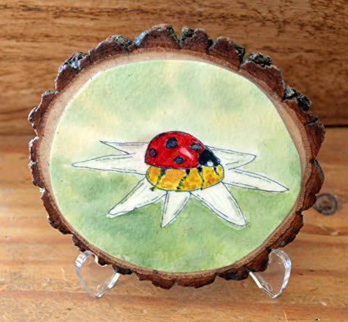 Lady Bug - Painted Wood Round Art