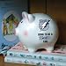 Born to Be Tampa Bay Lightning Fan Piggy Bank