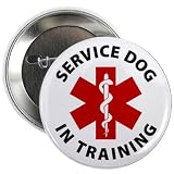 SERVICE DOG IN TRAINING Med Alert 2.25 Pinback Button Badge