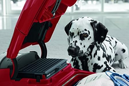 Budget  Miele Complete C3 Cat & Dog PowerLine