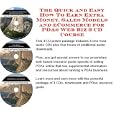 The Quick and Easy How To Earn Extra Money, Sales Models and eCommerce for PDAs Web Biz 3 CD Course