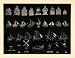 1909 Print Tea Caddies Ship Models Trekshuyt Windmill Boat Heron Candlestick - Original Halftone Print