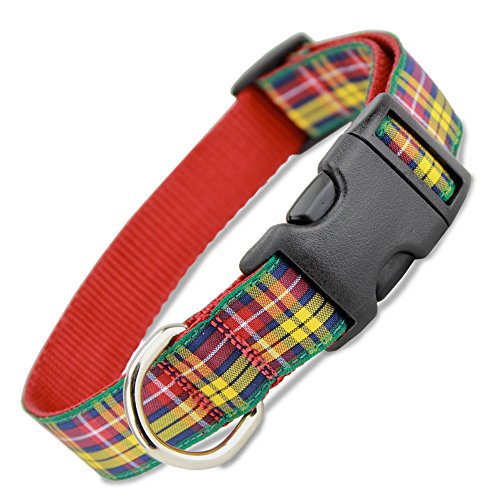 Plaid Dog Collar, Buchanan Tartan, Medium, 3/4
