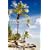 Papa Mike's Cook Islands Handbook second edition