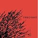 Tides-Tides / Giant