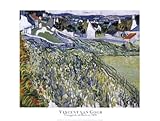 IMAGE OF Vineyards at Auvers, c.1890 Beautiful MUSEUM WRAP CANVAS Print with Added BRUSHSTROKES Vincent Van Gogh 32x24
