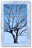 Twin Soul Separation
