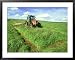 Tractor Cutting Grass Meadow for Silage Farming, UK Framed Art Poster Print by Mark H...