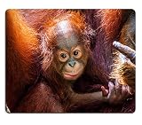 Mousepads Baby Orangutan IMAGE ID 20341501 by Liili Customized Mousepads Stain Resistance Collector Kit Kitchen Table Top Desk Drink Customized Stain Resistance Collector Kit Kitchen Table Top Desk