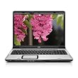HP Pavilion DV9810US 17-inch Laptop (AMD Turion 64 X 2 Dual Core TL-60 Processor, 3 GB RAM, 160 GB Hard Drive, DVD Drive, Vista Premium)