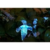 D�tails sur le produit