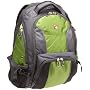 SwissGear Computer Backpack (Green/Gray)