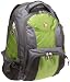 SwissGear Computer Backpack (Green/Gray)