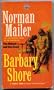 Barbary Shore