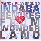 Indaba Remixes from Wonderland