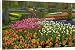 Canvas Prints of Tulip and hyacinth from Danita Delimont