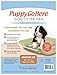 PuppyGoHere Dog Litter Box, Blue Color, Large Size, Durable & Pet Safe Puppy Litter Box, Indoor Open Top Entry Dog Litter Pan, Comfortable for Dogs, Great for Dogs up to 20 lbs