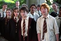 Gryffindor Necktie
