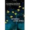 Novels in Verse by Australian Authors