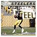Pittsburgh Steelers 2009 12 x 12 Team Wall Calendar