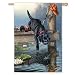Black Lab Ripples Pond Fishing Mini Flag
